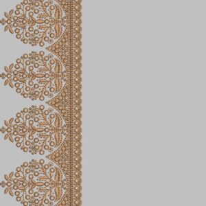 C PALLU DESIGNS 300+ FILES LOT